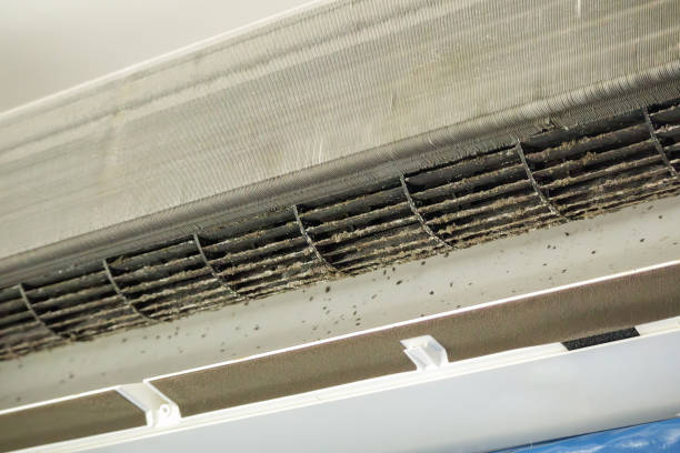 Best Air Duct Cleaning Company Near Me  in Leavenworth, KS